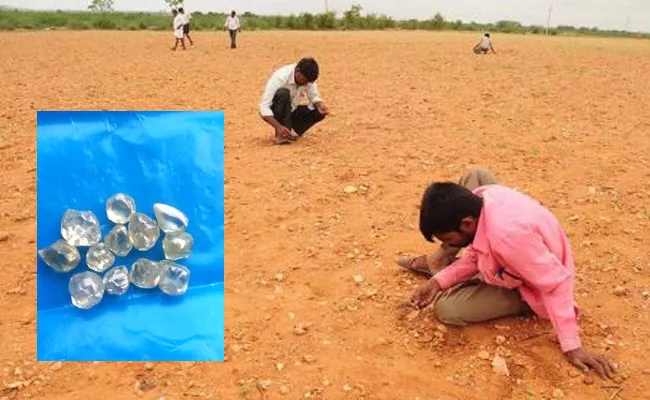 Diamonds Found In Kurnool District - Sakshi