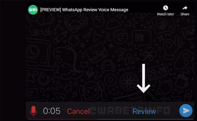 WhatsApp Voice Messages Review Tool Being Testing - Sakshi