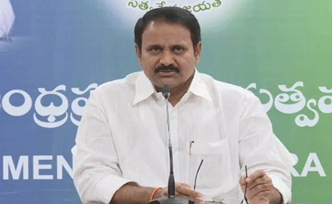 Mopidevi Speaks About CM YS Jagan Two Years Ruling - Sakshi