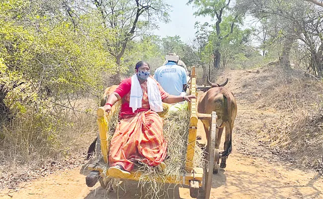 MLA Seethakka Provides Groceries Tribes Over Coronavirus Lockdown - Sakshi