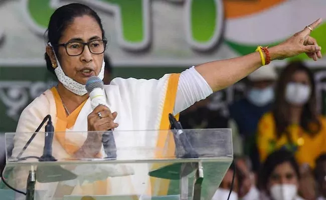 Violence By BJP, It's Their Baby: Mamata Banerjee - Sakshi