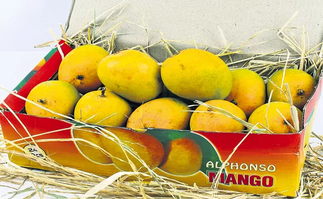 Andhra mango to South Korea - Sakshi