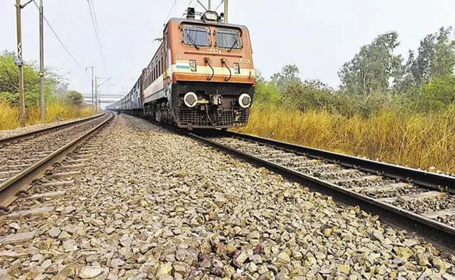 12 Big Cats Killed Accidents By Dumping Leftover Food On Railway Tracks - Sakshi