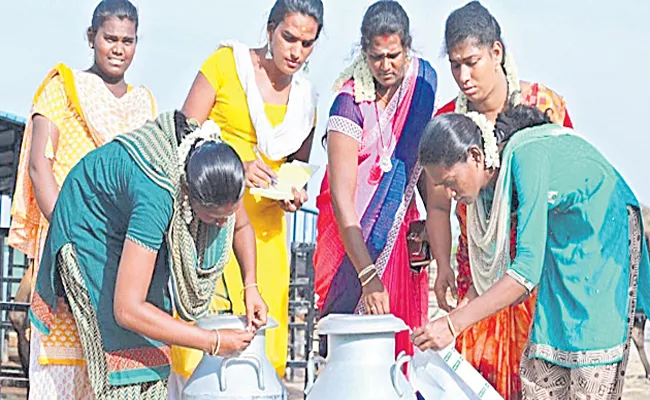 Transgender-run first Milk Cooperative Society in Kovilpatti - Sakshi