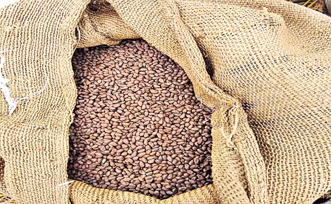 Suryapet Police Bust Fake Seeds Racket - Sakshi