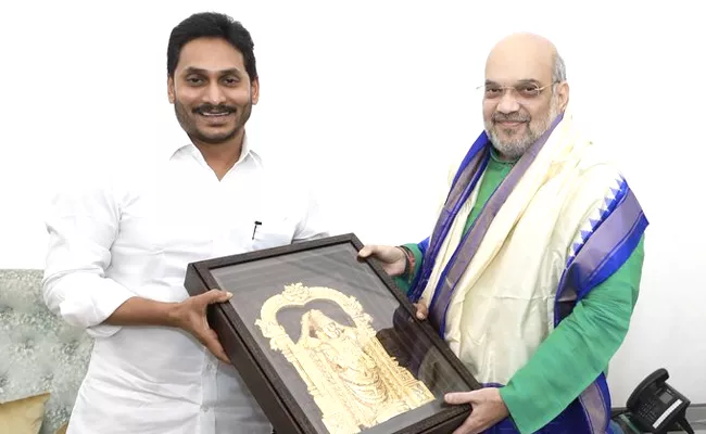 CM YS Jagan Meeting With Amit Shah At Delhi - Sakshi