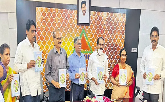 Kurasala Kannababu Says That Andhra Pradesh As Horticultural hub - Sakshi