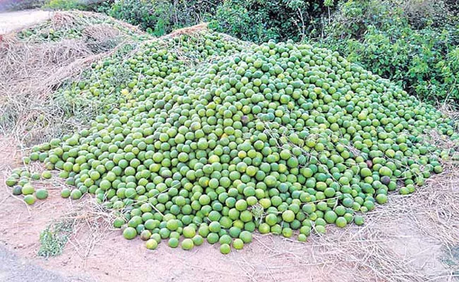 Record Price For Orange Fruit In Wholsale Market In Hyderabad - Sakshi