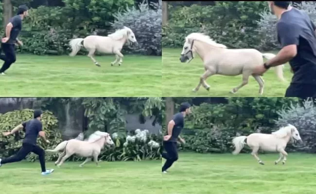 MS Dhoni Displays Fitness While Racing With Shetland Pony Became Viral - Sakshi