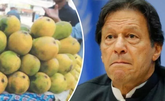 Pakistan Mango Diplomacy Rejected By 32 Countries - Sakshi