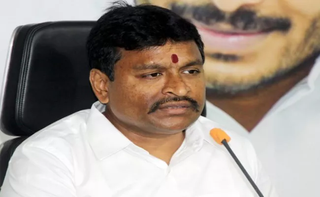 Minister Vellampalli Srinivas Comments On Brahmamgari Matam Issue - Sakshi