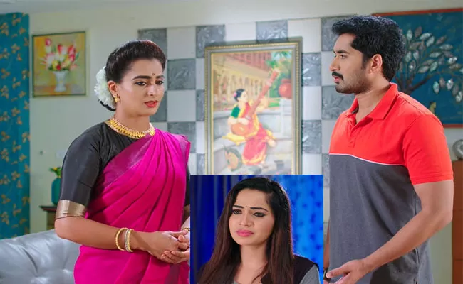 Karthika Deepam Serial: Karthik Seeks Soundarya Help Over Monitha - Sakshi