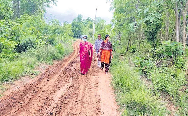 Government Officials Visits Mahabubabad Gudur Village By Walk - Sakshi