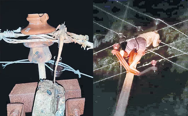 Power Cut In Dornakal Due To Lizard On Current Wire - Sakshi