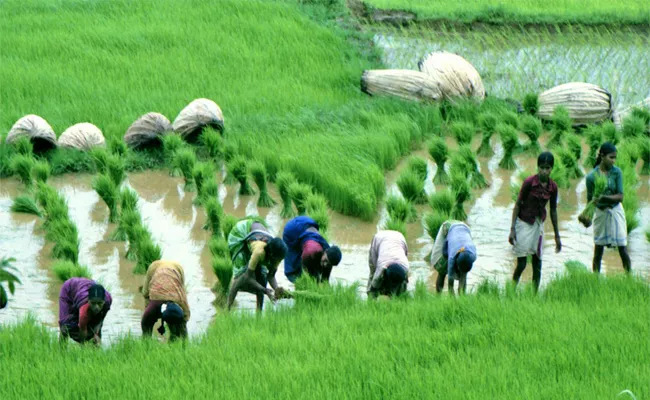 Massive Rise In Agricultural Labour Inflation - Sakshi