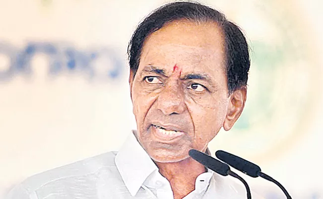 I Am Not Cine Actor Says CM KCR Speech In Vasalamarri Meeting - Sakshi