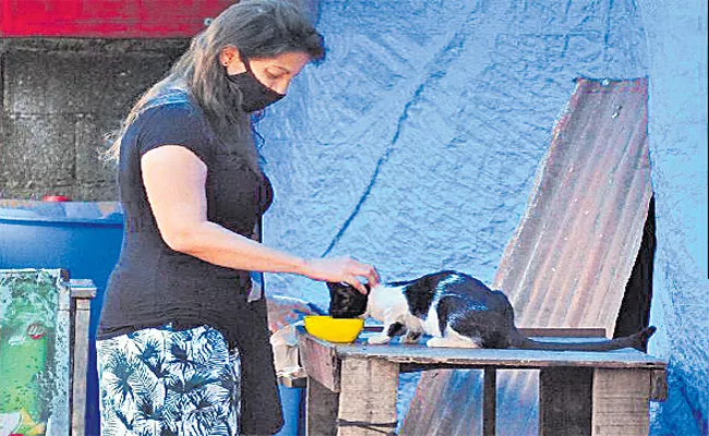 Kerala French Professor Gave Food To Stray Animals - Sakshi