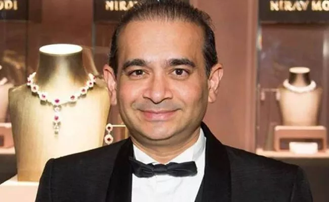 UK High Court rejects Nirav Modi extradition plea - Sakshi