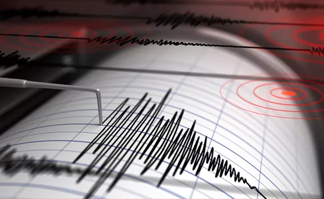 Earthquake in Maharashtra Palghar Hits Magnitude 3.7 On Richter Scale   - Sakshi