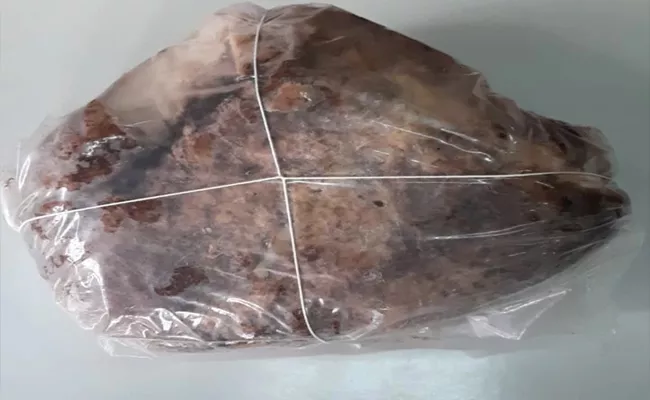 Two Persons Arrested For Smuggling Whale Vomit In Mumbai - Sakshi