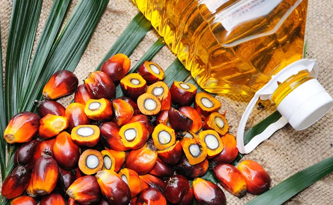 Malaysia Surpasses Indonesia To Become India's Top Palm Oil Supplier - Sakshi