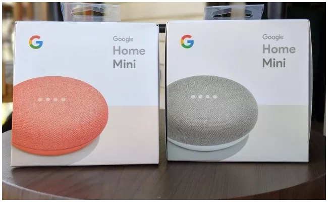 Offer On Google Nest Mini For Re 1 On Flipkart But If You Buy The Pixel 4a - Sakshi