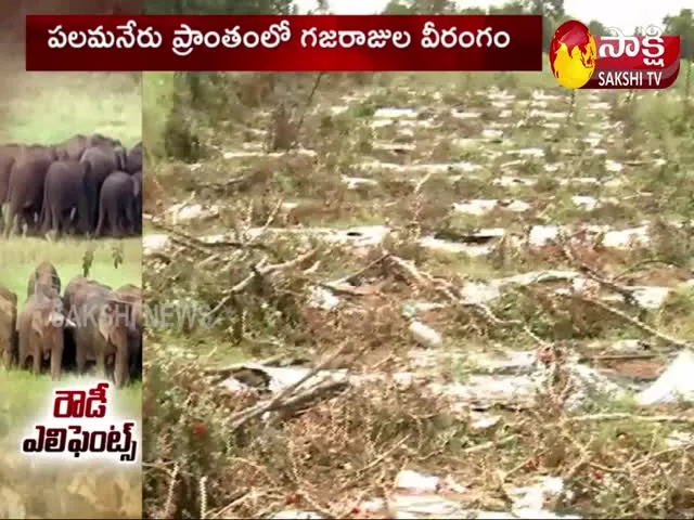 Elephant Poaching In Chittoor District