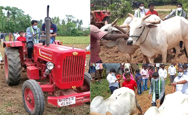 Joint ‌Collector‌ Laxmisha Plowed The farming Land In East Godavari - Sakshi