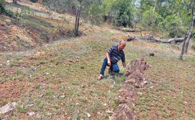 Dinosaur Fossils Found In Mulugu District Forest Area - Sakshi