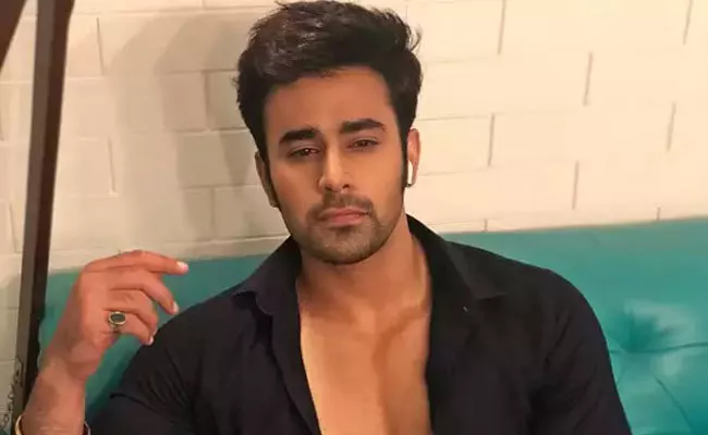 Naagin Actor Pearl V Puri Breaks His Silence After Molestation Allegations  - Sakshi