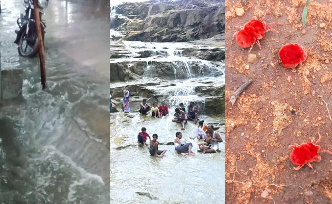 Photo Feature: Heavy Rain In Adilabad - Sakshi