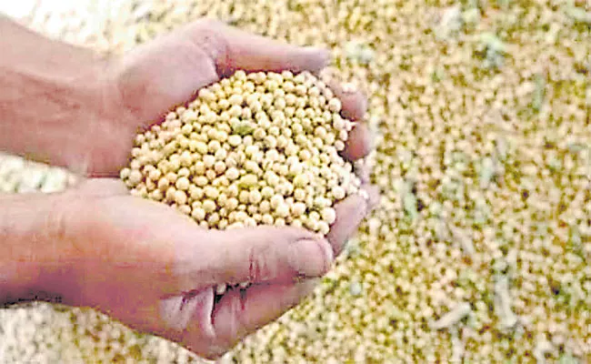 Soybean Seeds Shortage In Telangana Farmers Go To Maharashtra - Sakshi