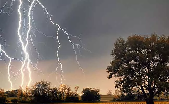  Lightning Assassinate Boy Injures 3 After They Climb Tree For Mobile Network In Maharashtra - Sakshi