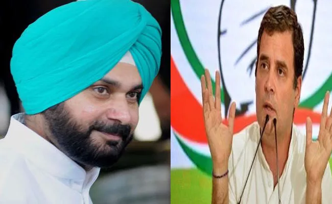 Rahul Gandhi Says No Meeting Scheduled With Navjot Singh Sidhu - Sakshi