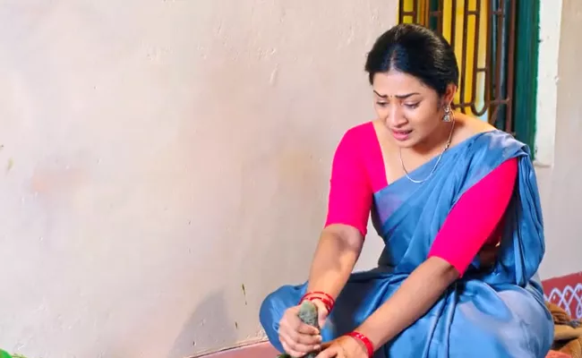 Devatha Serial : Basha Condemns Kamalas Arrogant bBehaviour - Sakshi