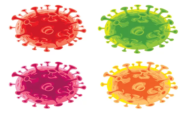 Only one strain of Covid-19 Delta variant found in India - Sakshi