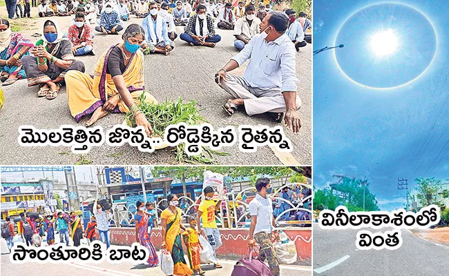 Local to Global Photo Feature in Telugu: Farmers Protest, Kamareddy, Vaccination - Sakshi