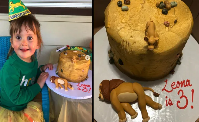 USA Girl Lion King Cake Gone Viral - Sakshi