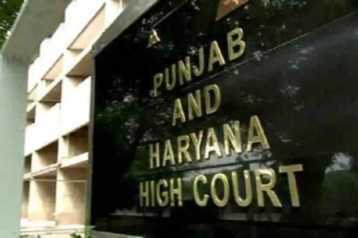 llicit Affair of Woman Can Not Define Her as Bad Mother Rules Punjab and Haryana HC - Sakshi