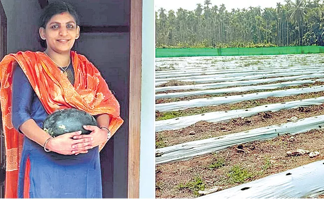 School Teacher Seema Ratheesh Farming Organic Watermelon In Kerala - Sakshi