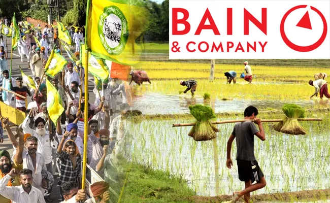 Bain And Company Said That New Farm Laws Can Create New Opportunities In  Agri Ecosystem - Sakshi