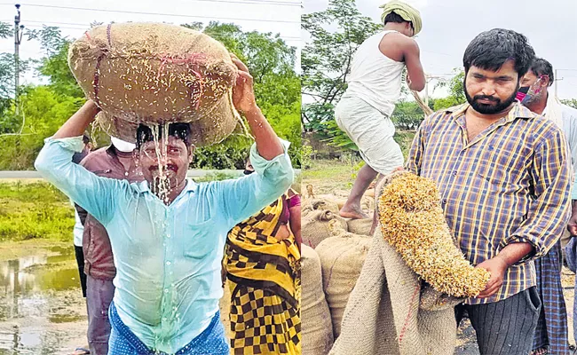 Heavy Rains Washed Away Grains In Telangana - Sakshi