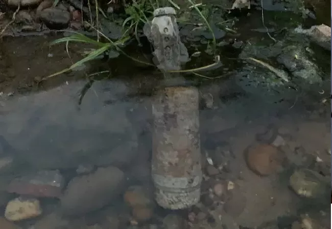 USA Family Finds Out They Had A Picnic Next To An Unexploded WWII Bomb - Sakshi