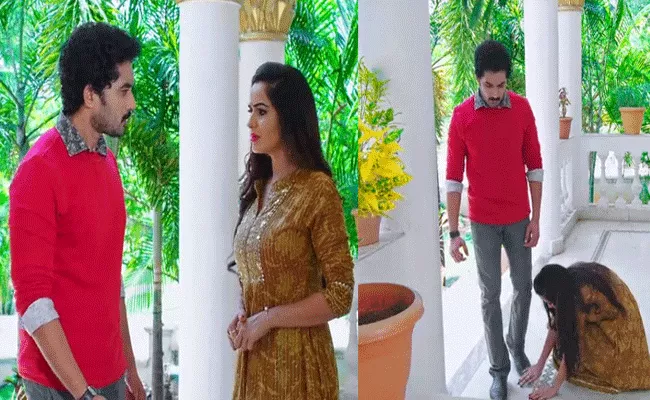 Karthika Deepam Serial: Karthik Questioned Monitha About Pragnency - Sakshi