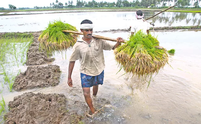 Department of Agriculture announces Kharif-21 production target - Sakshi