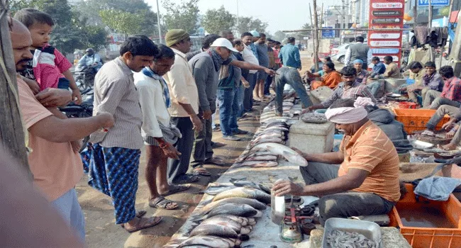 Huge Demand For Fish On Eve Of Mrigasira Karthi In Nalgonda - Sakshi