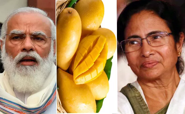 Cm Mamata Banerjee Sends Pm Narendra Modi West Bengal Mangoes - Sakshi