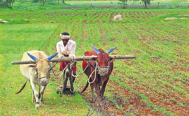 YSR Rythu Bharosa And RBK Centres Encouragement To Agriculture - Sakshi