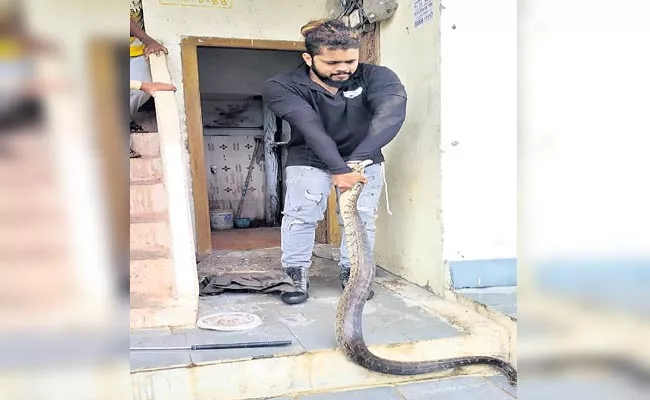 Python Wandering In Annojiguda - Sakshi