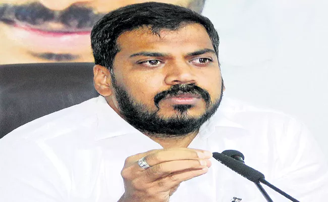 Anilkumar Yadav Comments On Chandrababu - Sakshi